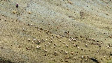 Lares i Święta Dolina z górskimi schroniskami Peru