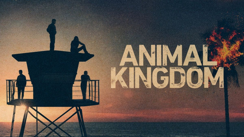 Regno animale - TNT