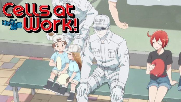 Cells at Work: Data di uscita dell'episodio 8 di Code Black