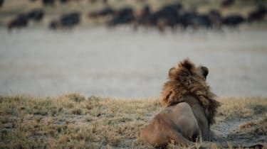 Makgadikgadi soline