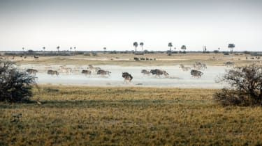 Makgadikgadi soline
