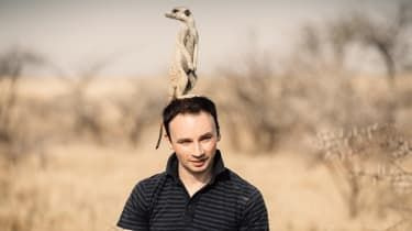 Meerkati pri Jacku