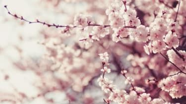 Πώς να βρείτε το «ikigai» σας: Η Juliet Kinsman σε έναν νέο τρόπο να ταξιδεύει με συνείδηση