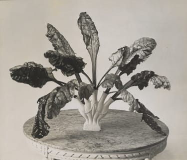 Chardblade i et vasearrangement af Constance Spry, foto Reginald Malby, ca. 1935