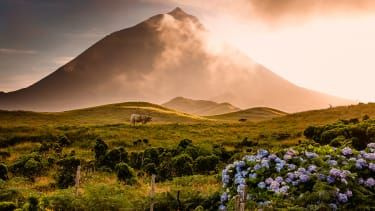 Pico, Azory
