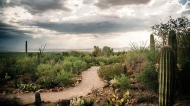 Národný park Saguaro, Arizona