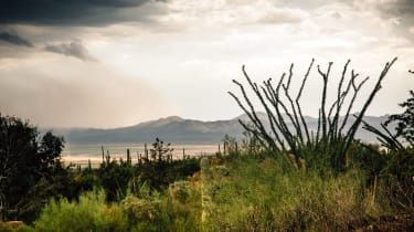 Národný park Saguaro, Arizona