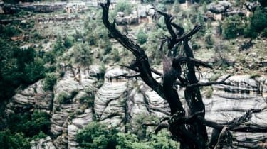 Walnut Canyon neďaleko Flagstaffu