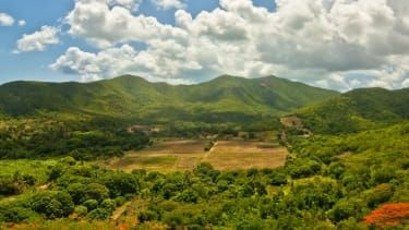 Faceți o călătorie în pădure tropicală când vizitați Antigua