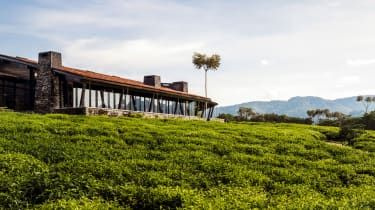 180810-sustainable-nyungwe-top.jpg