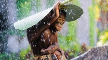Sony World Photography 2015: ocho presentaciones 'espectaculares'