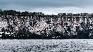 Galapagosöarna kryssning på Santa Cruz II