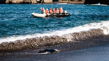 Galapagosöarna kryssning på Santa Cruz II
