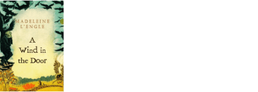 Vējš durvīs