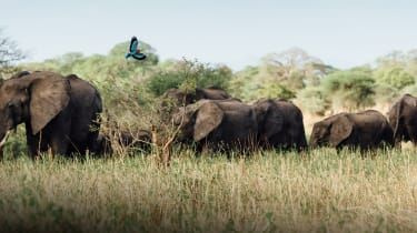 top-tanzania.jpg