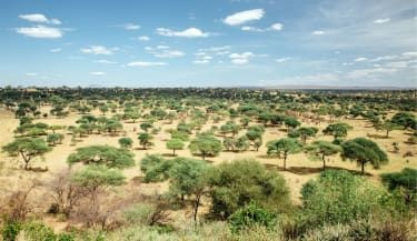 Narodni park Tarangire