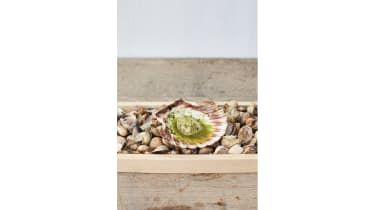 099-scallops-seaweed.jpg