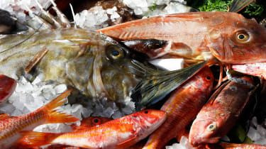 Londons bedste fiske- og skaldyrsrestauranter