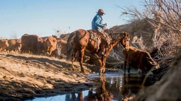 Återvänd till naturen: en vecka på Zapata Ranch i Colorado