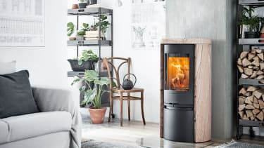 Contura guide till krukväxter