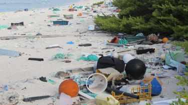 australia_east_beach_henderson_island_in_the_south_pacific_oceanc_dr_jennifer_lavers_brodie_neill.jpg
