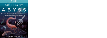 Brilantná priepasť
