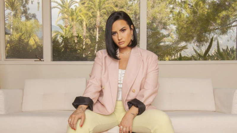 De Tina à Demi, 10 documentaires musicaux qui brûlent les charts