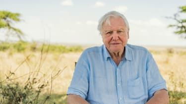 'Attenborough Effect': tillväxten i hållbara investeringar