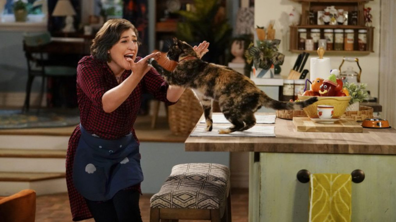 Valutazioni TV della domenica: la NFL vince la notte, ma come sarebbe andata la premiere di 'Call Me Kat'?