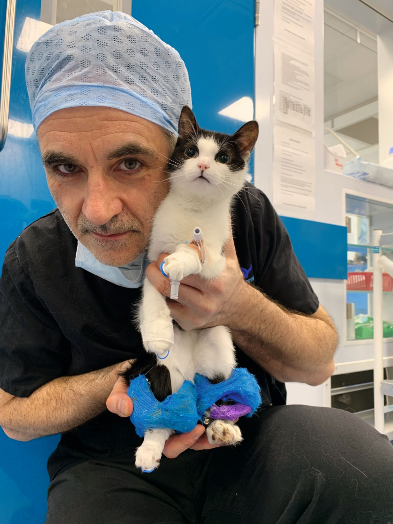  Le Supervet Noel Fitzpatrick