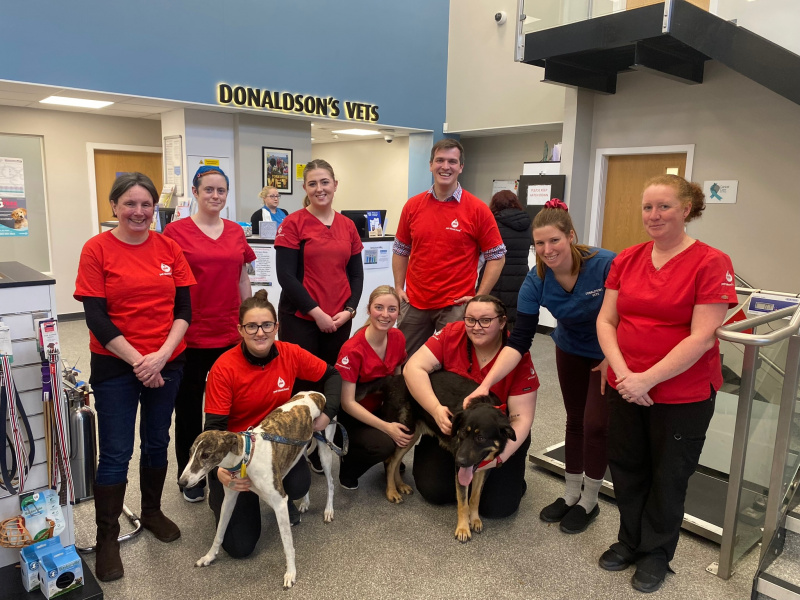   Donaldson's vets team with two dogs.