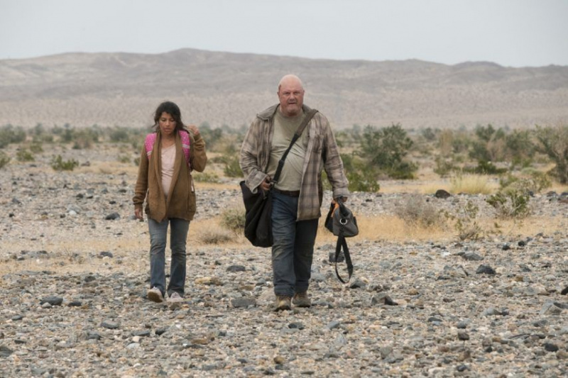 Coyote Staffel 1 Michael Chiklis