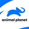 Dyreplanet