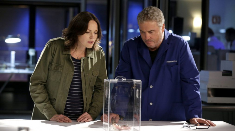'CSI' -planer kommer tilbake: Hvem blir med Gil & Sara i laboratoriet?