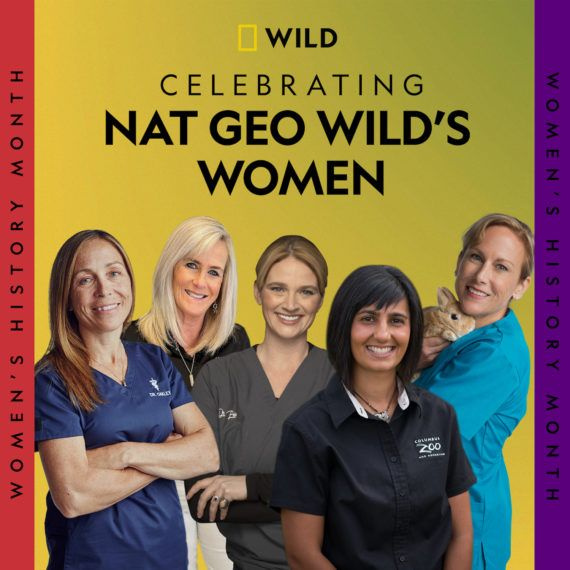 Nat Geo Wild