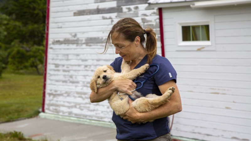 Dra. Michelle Oakley Yukon Vet