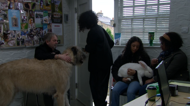  Suzy Merton va dal veterinario dove c'è un grosso cane e un coniglio bianco.