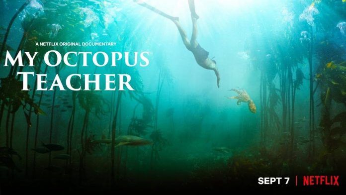 Min blekksprutelærer er ute på Netflix: Cast, Plot og mer