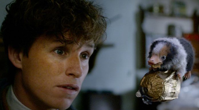 Film „Fantastic Beasts 3“ pokračuje v produkcii v rámci filmu COVID-19