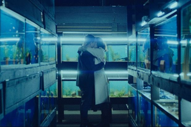 IFC Films, bilim kurgu aşk hikayesi 'Little Fish' için Kuzey Amerika haklarını aldı