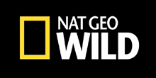 nat Geo Wild