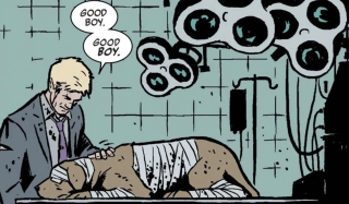Hawkeye and Lucky σε εικονογράφηση David Aja.