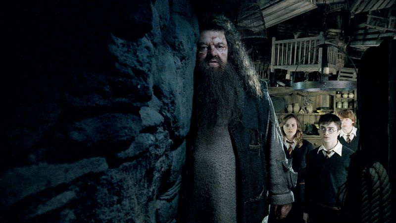 Harry Potter -elokuvien katsominen verkossa - Feeniksin järjestys