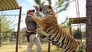 „Tiger King“ Staffel 2: Die schockierendsten Enthüllungen