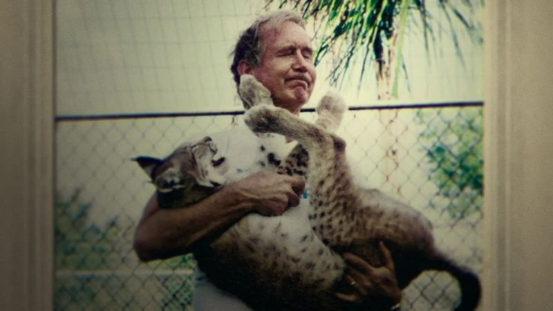 Don Lewis bei Netflix