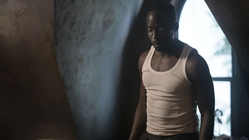 Michael Kenneth Williams w Lovecraft Country