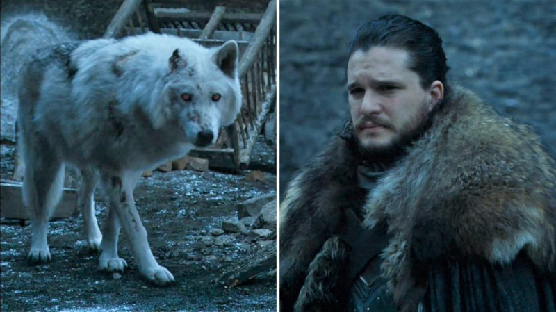 'Game of Thrones': Hvorfor Jon ikke pet spøkelse da han forlot Winterfell