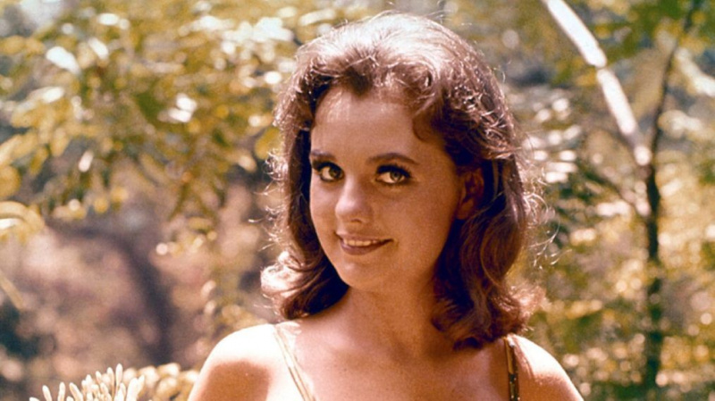Hollywood rend hommage à l'actrice bien-aimée de 'Gilligan's Island' Dawn Wells
