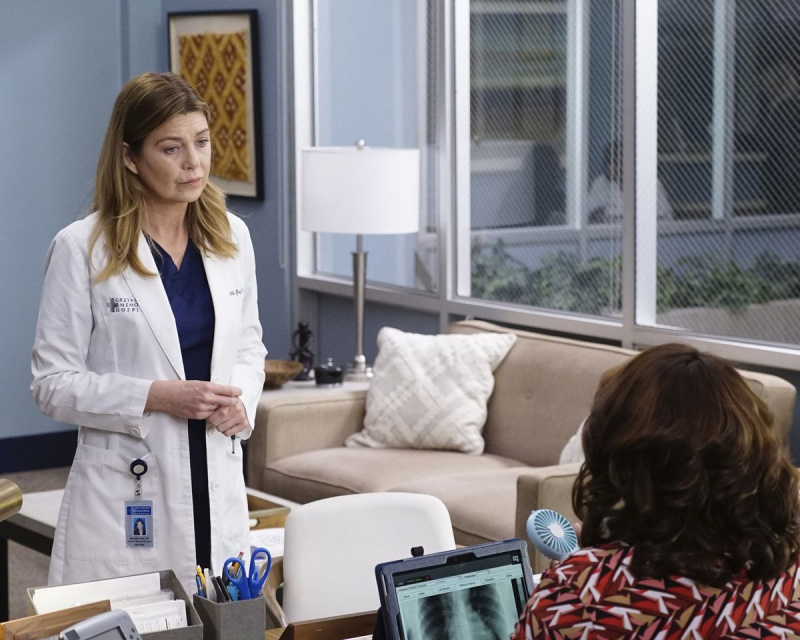 Ellen Pompeo Chandra Wilson Gray