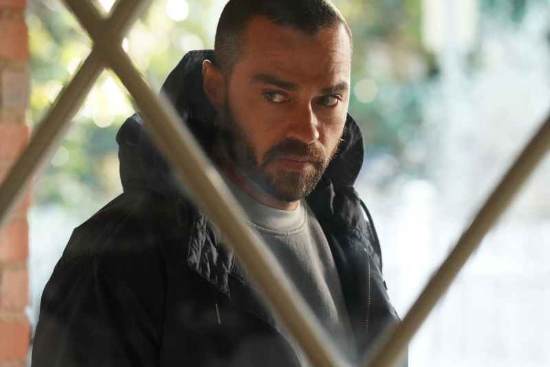 Jesse Williams Gray